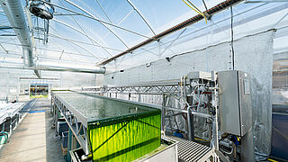 ZHAW open thin-layer bioreactor
